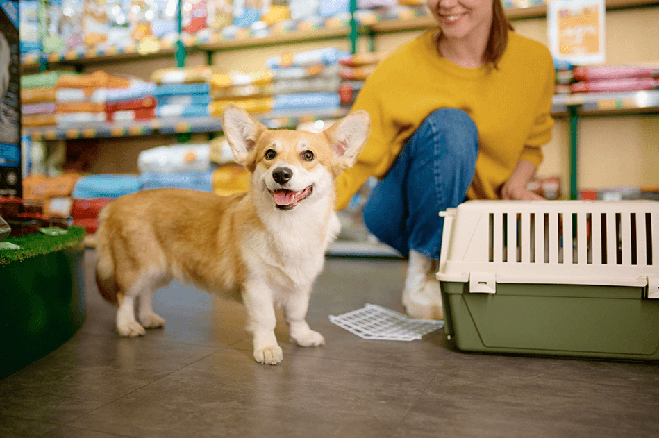 best cloud based pet store pos