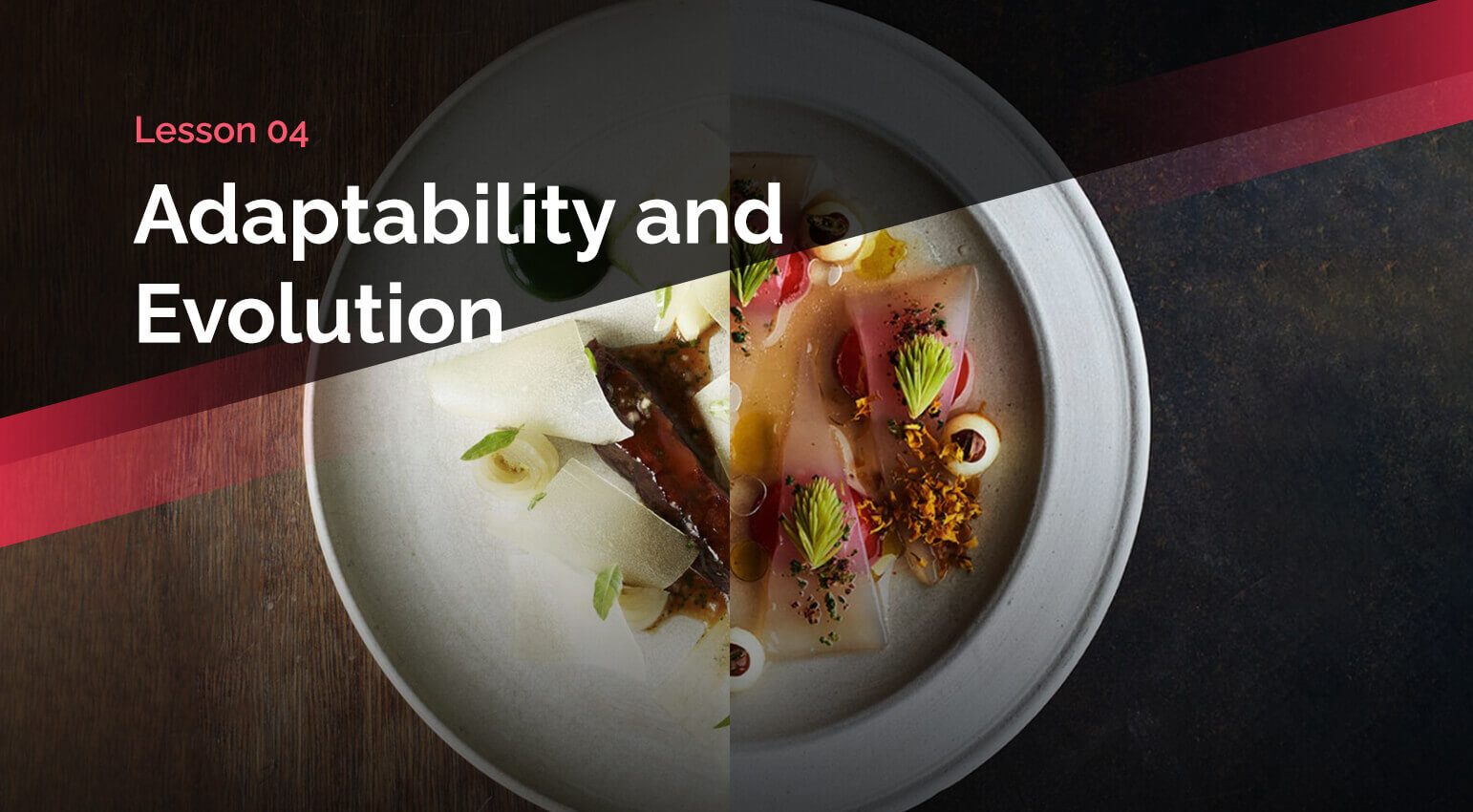 Adaptability and Evolution